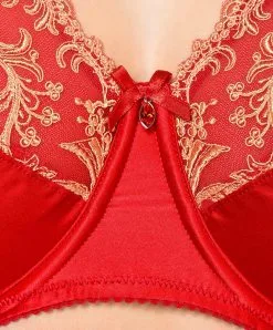 Soutien-gorge Grande Taille En Soie Collection Splendeur Soie De La Marque Lise Charmel Coloris Splendeur Santal. -SOUTIEN-GORGE Soldes Boutique Soutien gorge grande taille en soie Lise Charmel Splendeur Soie santal rouge ACC6180 SA 3