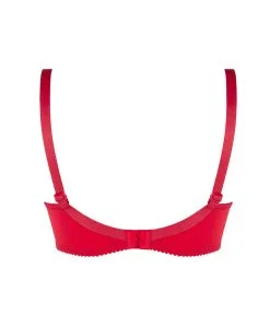 Soutien-gorge Grande Taille En Soie Lise Charmel Collection Splendeur Soie, Coloris Rouge. -SOUTIEN-GORGE Soldes Boutique Soutien gorge grande taille en soie Lise Charmel Splendeur soie rouge rouge ACC6180 RS 1002