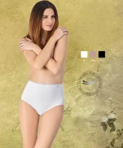 Avet Culotte Haute En Coton